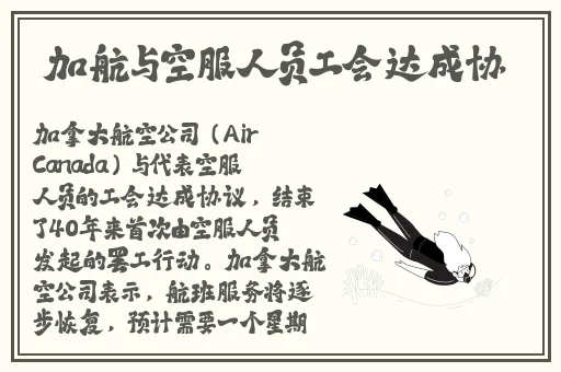 下载app 安装